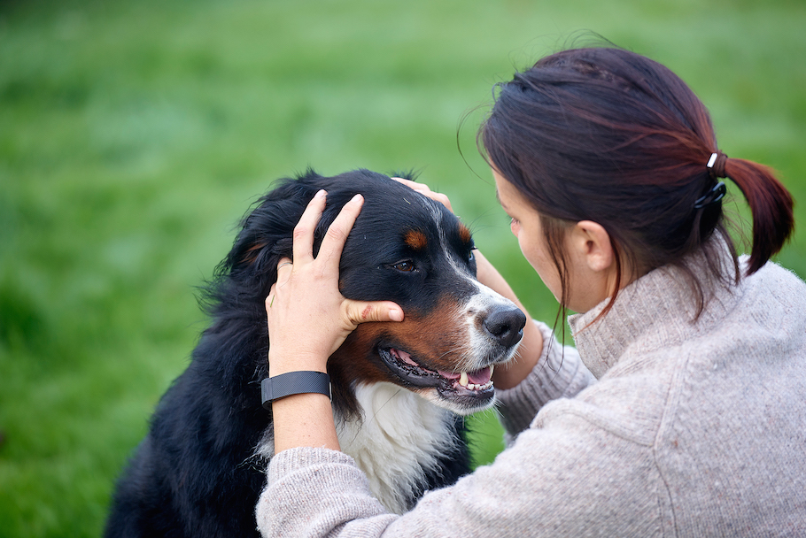 aurore-pilon-osteopathie-canine-4