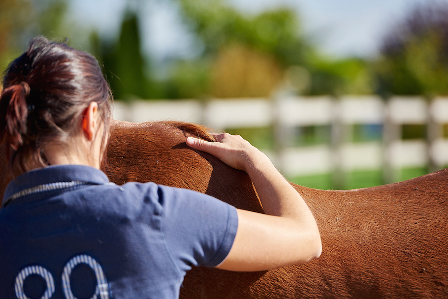 aurore-pilon-osteopathie-equine-4