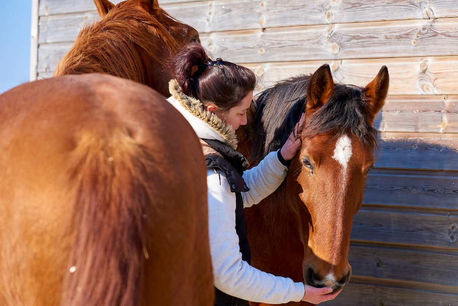 aurore-pilon-osteopathie-equine-5