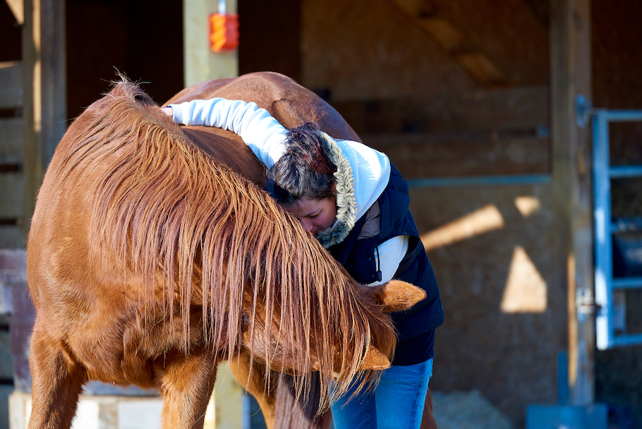 aurore-pilon-osteopathie-equine-6