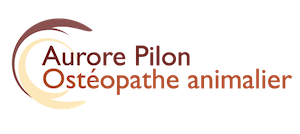 aurore-pilon-osteopathe-animalier