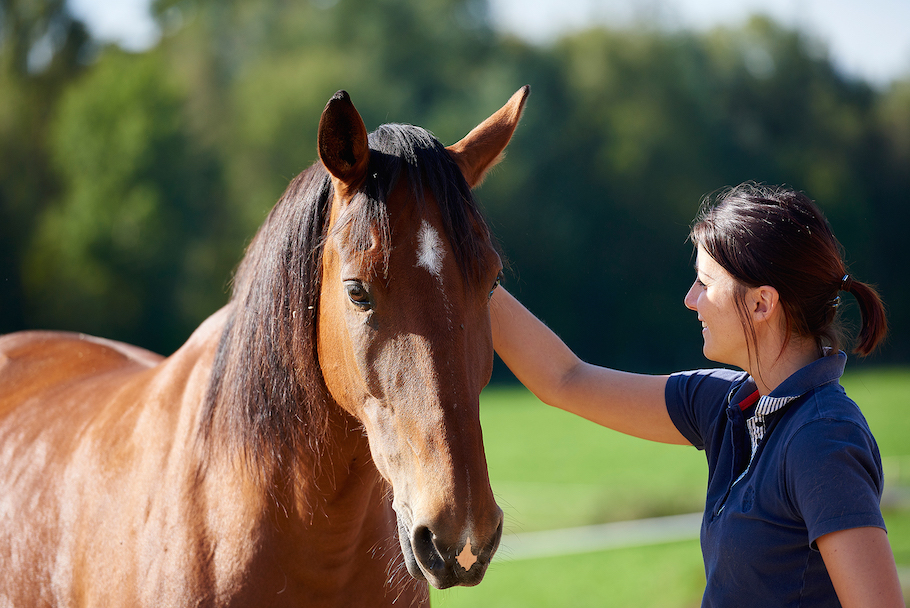 aurore-pilon-osteopathie-equine-1