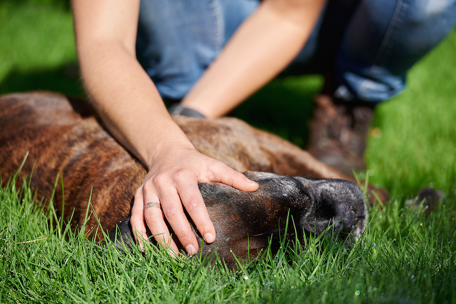 aurore-pilon-osteopathe-boxer