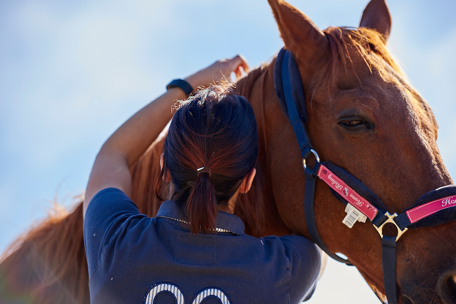 aurore-pilon-osteopathe-cheval