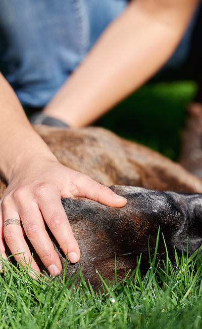 aurore-pilon-osteopathie-canine