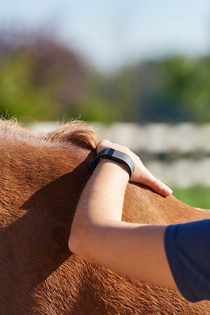 aurore-pilon-osteopathe-cheval